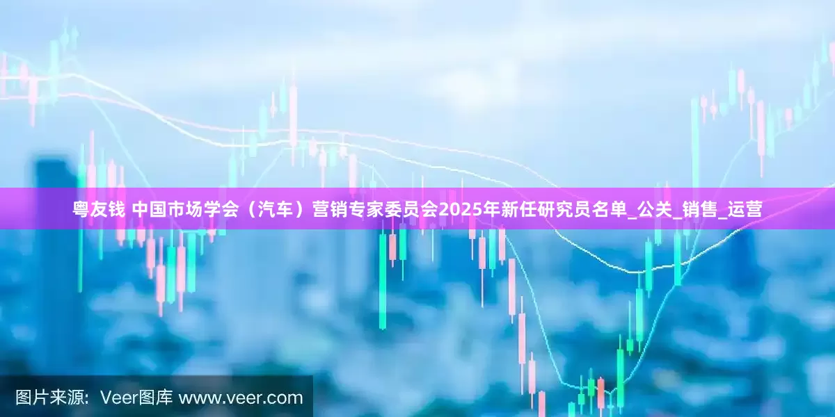 粤友钱 中国市场学会（汽车）营销专家委员会2025年新任研究员名单_公关_销售_运营