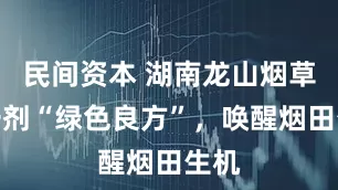 民间资本 湖南龙山烟草：一剂“绿色良方”，唤醒烟田生机